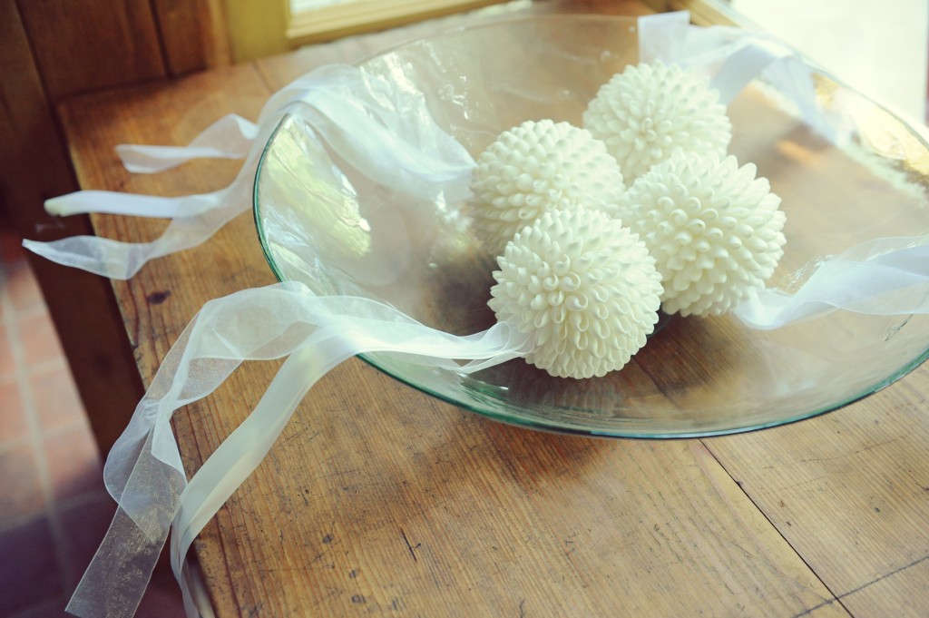 Paul and Jenna Wedding