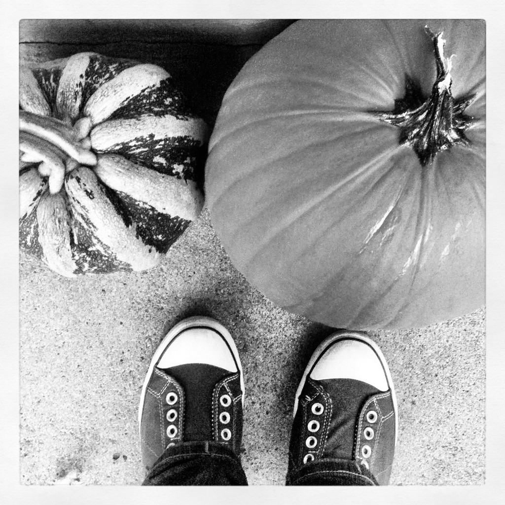 laceless shoes pumpkins