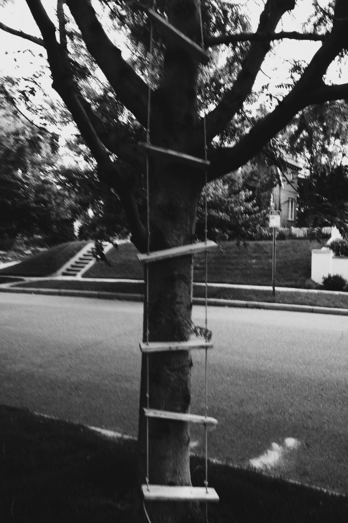 Processed with VSCOcam with b6 preset