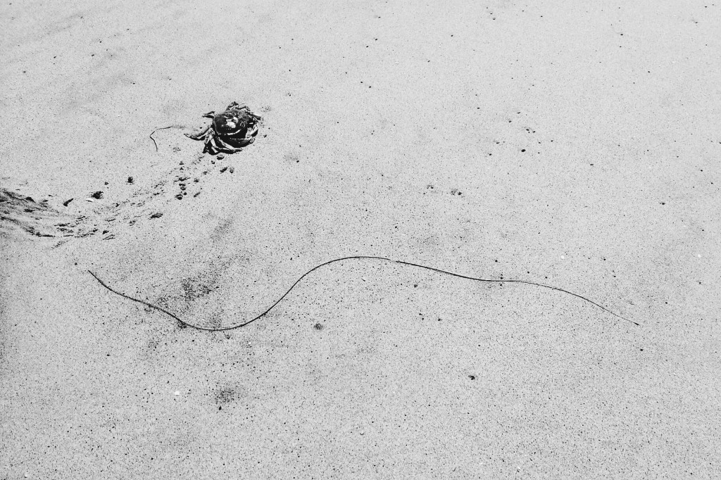 Processed with VSCOcam with b5 preset