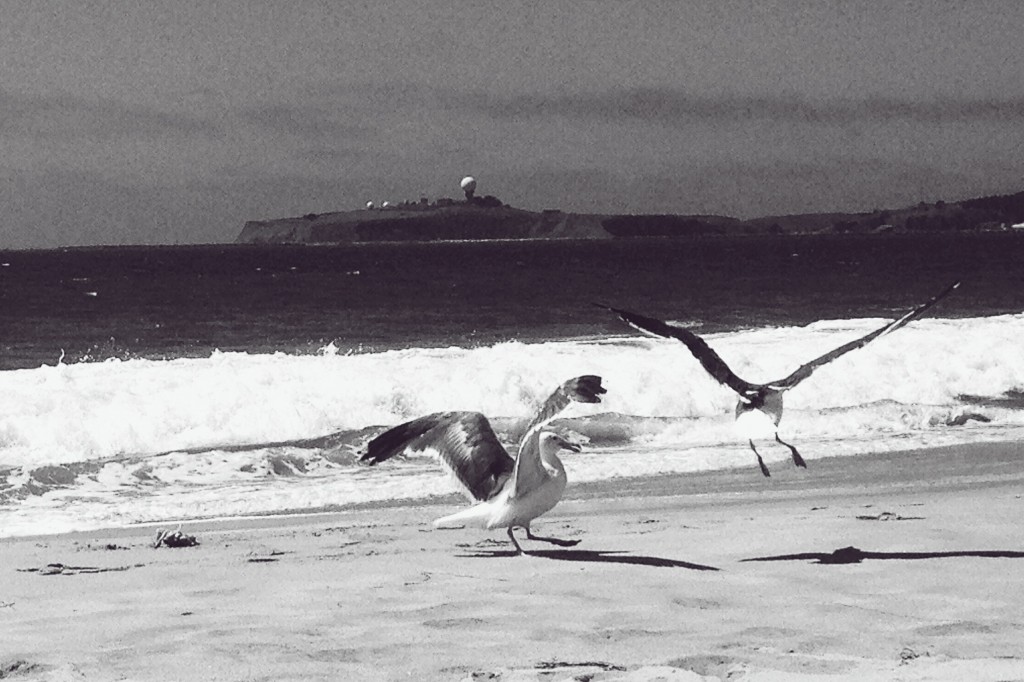 Processed with VSCOcam with b5 preset